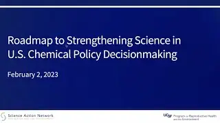 A Science-Based Agenda for Health-Protective Chemical Assessments and Decisions