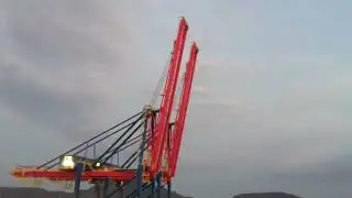 Container cargo seaport. Seaport services for transshipment and accumulation of cargo.