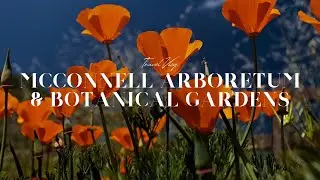 Exploring the Tranquil Beauty of McConnell Arboretum & Botanical Gardens | Redding California