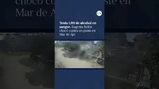 La influencer libertaria Eugenia Rol&oacute;n choc&oacute; contra un poste en Mar de Aj&oacute; y di&oacute; positivo en alcohol