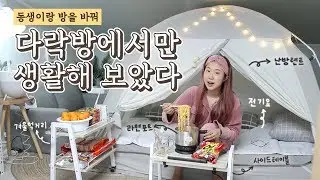 [샒의삶] 동생이랑 방을바꿔 하루종일 
