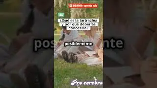 CUIDADO TARTRAZINA  &iquest;QUE ES?