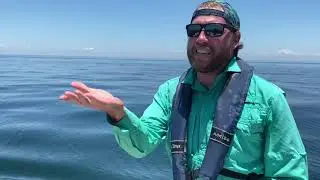 How Do Scientists Study Plankton?