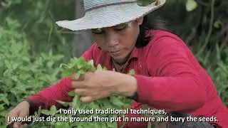 Louvain Cooperation Cambodia promeut des techniques agricoles durables