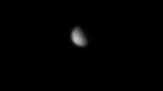 Venus Raw Video