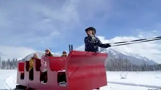 Banff Trail Riders Sleigh Rides - website video