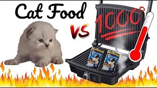 EXPERIMENT ✪ 1000° VS Cat Food