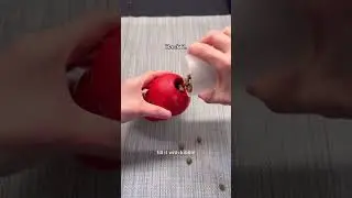 Try this frozen Kong hack! #dog #dogtips