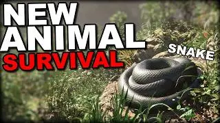 NEW Animal Survival Game | Untamed Kingdom