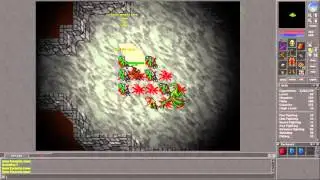 Tibia [7.2] Orc Fortress Quest