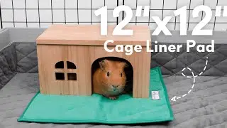 Guinea Pig Cage Liners | Keep Guinea Pig Cage Clean (2023)