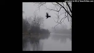 (Re-Upload) (free) alternative rock + heavy shoegaze type beat ~  无题 (prod kinsei)