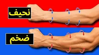 تمرينان فقط لبناء سواعد ضخمة بشكل لا يصدق!