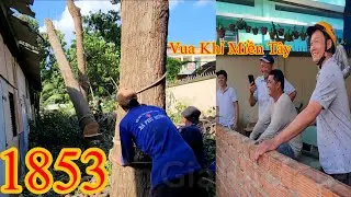 Kh&aacute;n giả hơi thất vọng khi Vua Khỉ Miền T&acirc;y treo nguy&ecirc;n th&acirc;n c&acirc;y Sao xuống qu&aacute; nhẹ nh&agrave;ng (2/2)