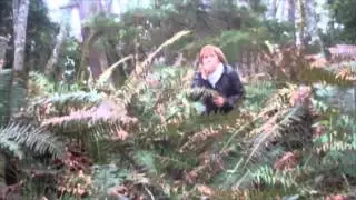 Сиэтл (интерактивное видео) Seattle (interactive video)