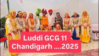 Gcg 11 Chandigarh Luddi 2025