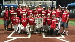 A Diamond Nation Summer - 2015