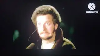 Home Alone: Harry and Marv injuries (Updated)