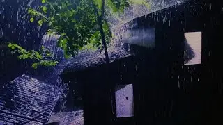 Fall Asleep Fast || Heavy Rain & Distant Thunder (No Talking) ASMR for Sleep