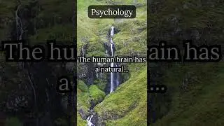 Psychology Fact: The Human Brain  #motivation #friend #selfcare