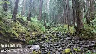 SOL DUC FALLS, Olympic National Park, Washington State, USA #solducfalls, #olympicnationalpark