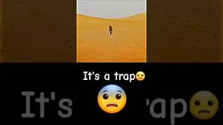It's a trap#edit #foryou