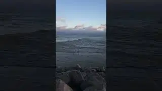 Lake Michigan #nature #naturelovers #natural #naturephotography #birds #bird #water