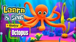 Learn & Sing - Baby Octopus ! - Educational Fun music video for Kids -