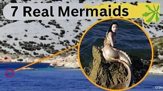 Mysterious Mermaids Spotted in the Ocean&rdquo; 🌊🧜 | Top 5 Mermaid Sightings in Ocean | PART-2
