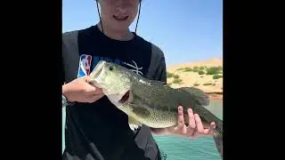 Kid catches his PB Largemouth. 