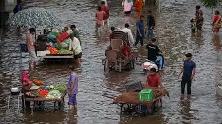 कोच्चि: 17वीं सदी में मानसून और विदेशी व्यापारी - एक रोमांचक कहानी!