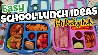 Easy Lunch Ideas for Kids | Picky Eater Friendly