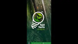 🔍 𝐅𝐚𝐬𝐭 𝐅𝐚𝐜𝐭𝐬: 𝐑𝐞𝐝-𝐒𝐭𝐫𝐢𝐩𝐞𝐝 𝐒𝐨𝐟𝐭 𝐒𝐜𝐚𝐥𝐞 𝐈𝐧𝐬𝐞𝐜𝐭 (𝐑𝐒𝐒𝐈)