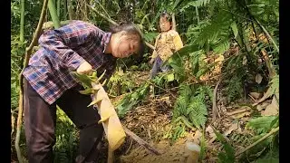 Hardworking Single Mom and Daughter Turn Forest Gifts Into Dinner