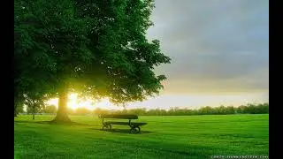 Another Day In Paradise ll Phil Collins ll ...But Seriously ll Guitar Mix