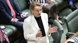 Sussan Ley defends leadership as Coalition implodes