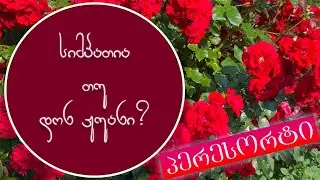 Ошибка сорта при покупке  роз, плетистая  роза - симпатия или Дон Жуан, проблема с пересортом.