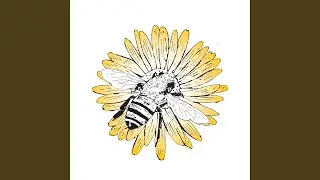 Flowers (Stay At Home Version)