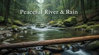 Calming Rainfall with Quiet River Ambience for Mindfulness and Mental Relaxation
