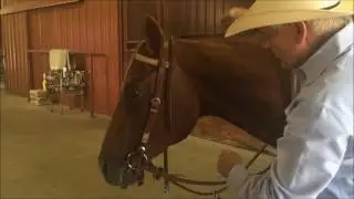 Dennis Moreland Tack: How to Adjust a Snaffle Bridle