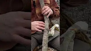 Как сделать ОХОТНИЧИЙ БУМЕРАНГ