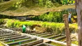 Documental TV Agro en Acuario Calypso Part1