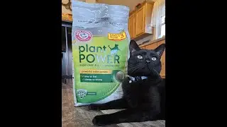 Your Highness has spoken: only Plant Power for the royal box. ✨