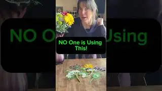How to Get PERFECTLY Dried Flowers FAST