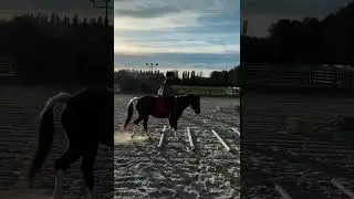 My Horse Riding Girl 🐎