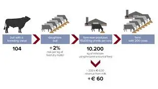 Feed efficiency: how it works in practice