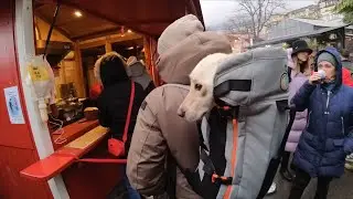 🇨🇭 Christmas markets