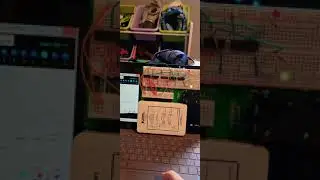 7 Segment Display C