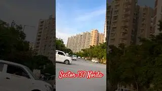 Sector 137 Noida City ||  #viral #youtubeshorts #shortsfeed #shortsfeed #shortclips #ytshorts