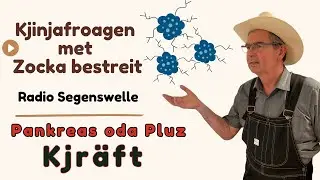 Pankreas oda Pluz Kjr&auml;ft || Plautdietsch || Plattdeutsch || Low German